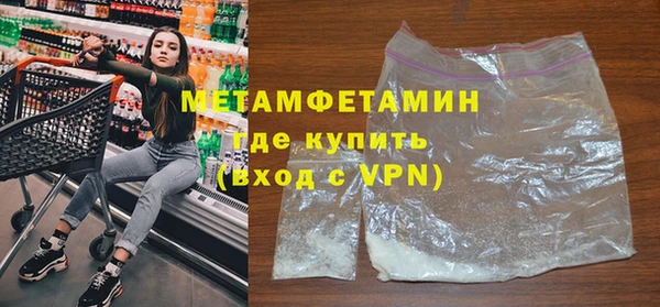 шишки Надым