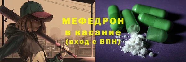 шишки Надым