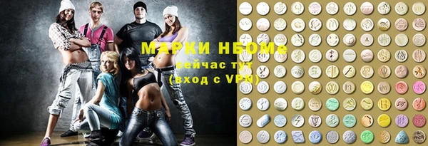 шишки Надым