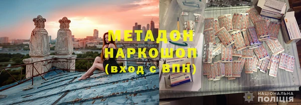 шишки Надым