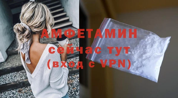 дмт Нея