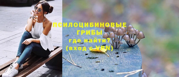 шишки Надым