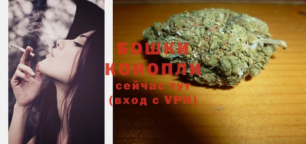 шишки Надым