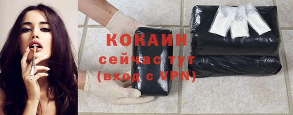 шишки Надым