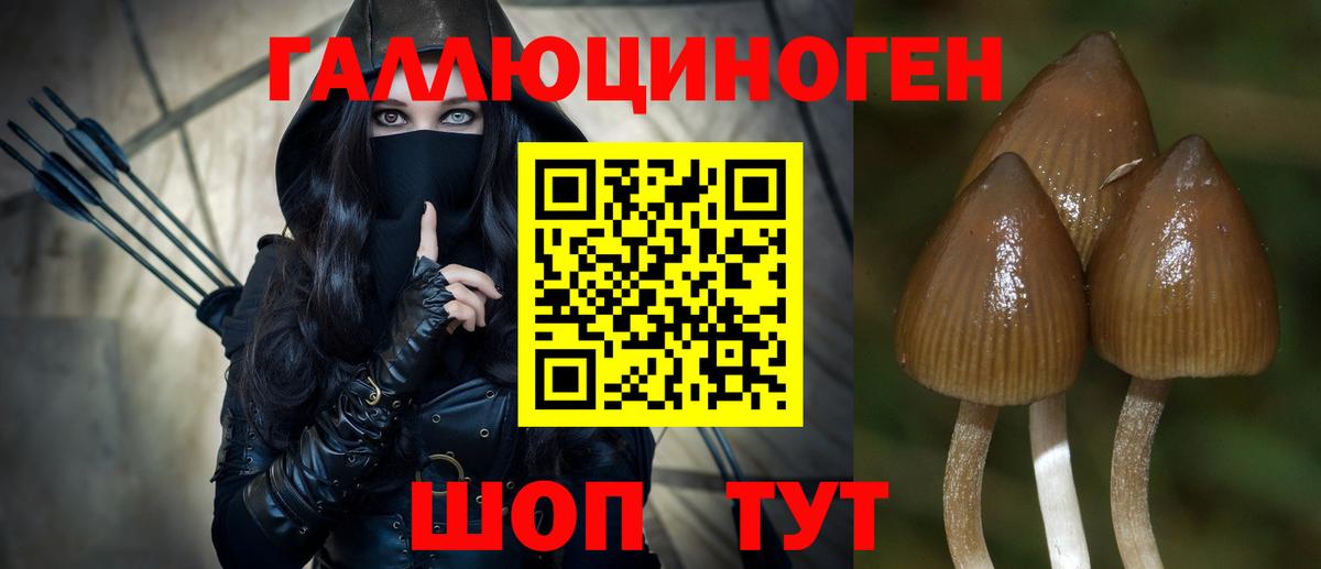 Нарьян-Мар  Галлюциногенные грибы GOLDEN TEACHER  Вход с VPN 