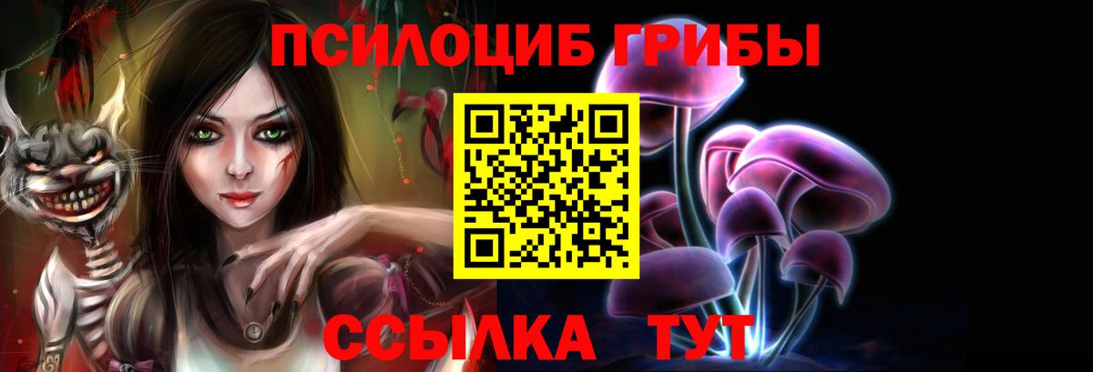 Псилоцибиновые грибы прущие грибы Нарьян-Мар